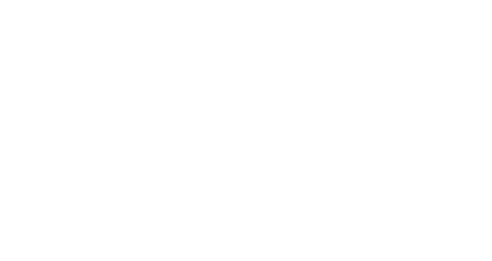Audi FIS Logo