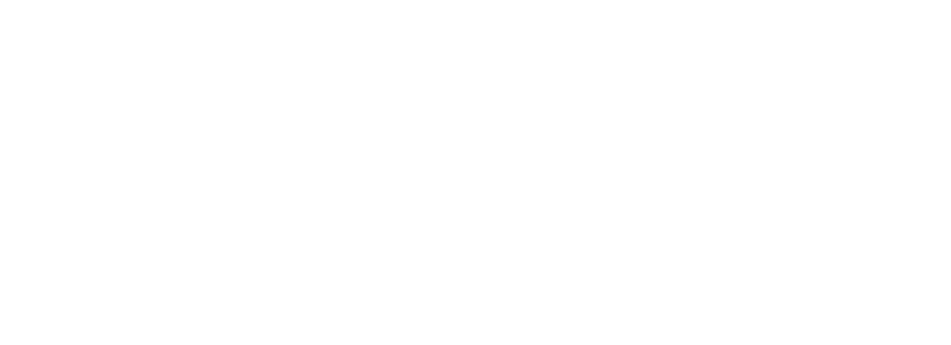 Audi FIS Logo